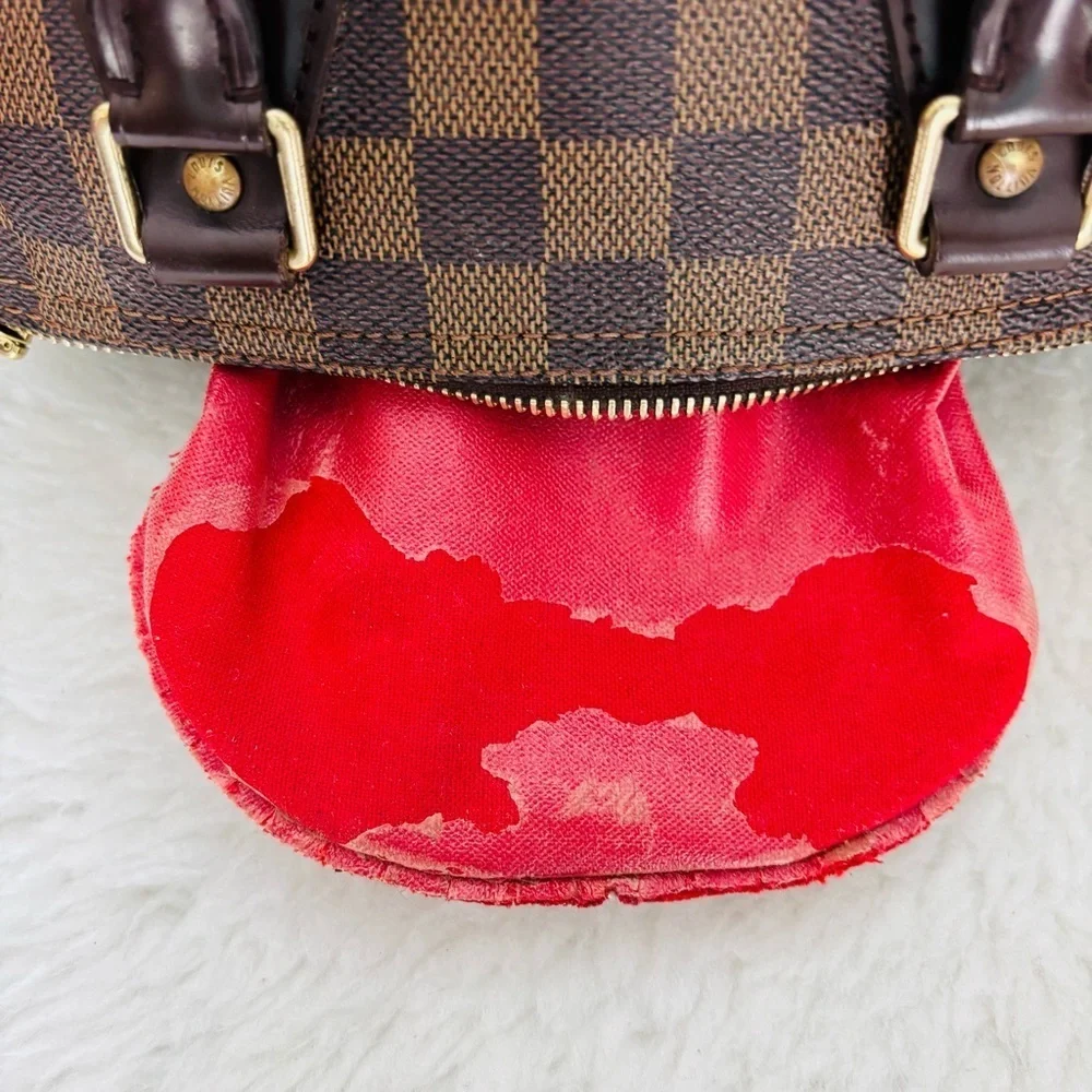 Louis Vuitton Damier Ebene Speedy 25 Bag